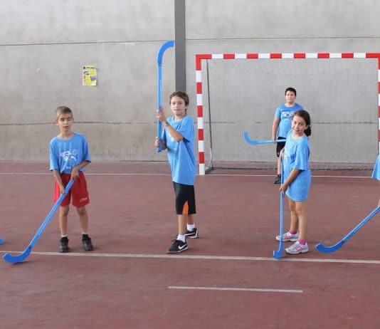 Actividades lúdicas, formativas y deportivas