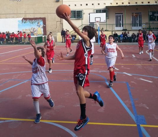 Toda la información sobre la Fase Campeonatos IR