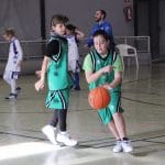 p18gvjj4coceenvmm2osl1pu3m