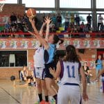 p18njl4dna13og1qn81i9b1bpb11326