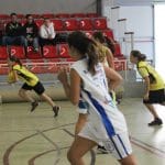 p196ucrm0q129n11m91tra14gvetrd