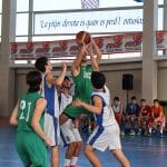p19d2lgt8t18ev1ru617g91pi2ri3o