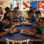 p19j0ltind116u1mfh1tk8186i43tr