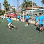 p19p21faj015361oiv1bgjf3h3jii