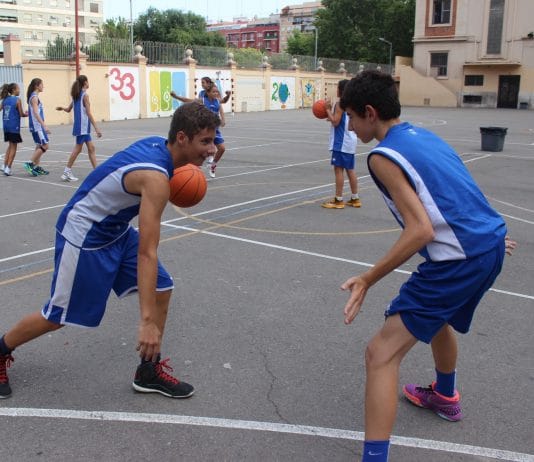 Torneo Mini, Cadete y 3×3