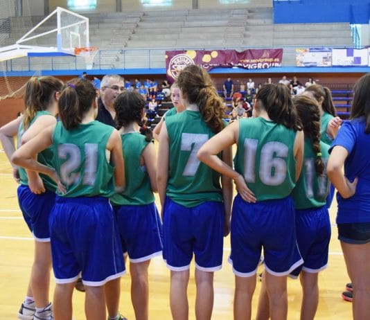 Fase de Ascenso Pretemporada (FAP)