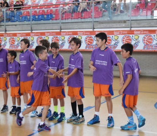 TF 2016: Distribución de grupos