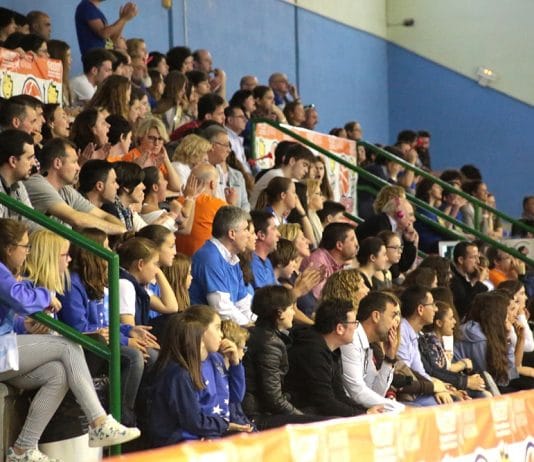 NBF Castelló y CEB Llíria organizarán las FF en 1ª División