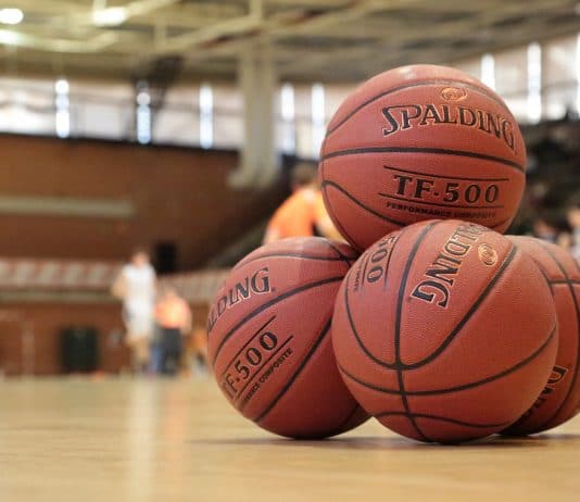 Tus balones Spalding para la temporada 2016/2017