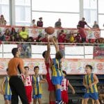 p1brs3e5dr1ulibusvo0767kvl10