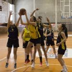 p1cdcpmai812lo160n19imbohaec