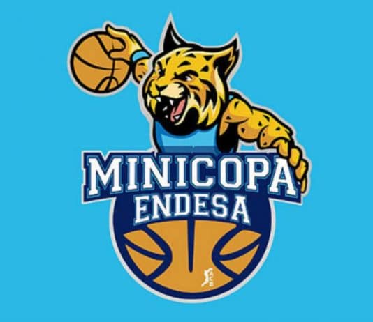Vive como voluntario la Minicopa Endesa
