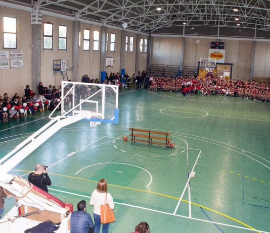 La Copa Junior Preferente busca nuevo campeón en Almàssera