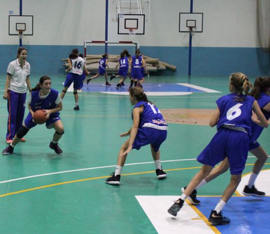 Convocatoria Preselección Alevín