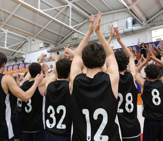 Calendarios 1ª DM, Senior y Junior Masculino, Infantil y Cadete N1
